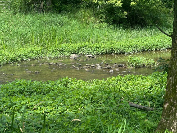 0 Tr 173, Bloomville, 44818, ,Land,For Sale,Tr 173,20252747