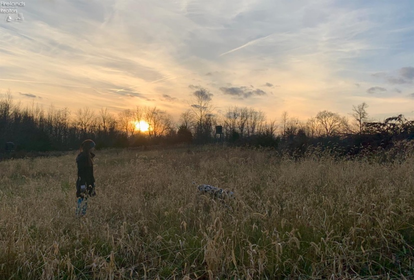 0 Tr 173, Bloomville, 44818, ,Land,For Sale,Tr 173,20252747