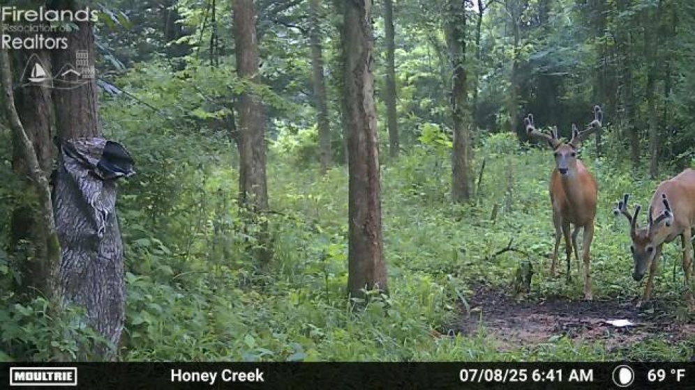 0 Tr 173, Bloomville, 44818, ,Land,For Sale,Tr 173,20252747