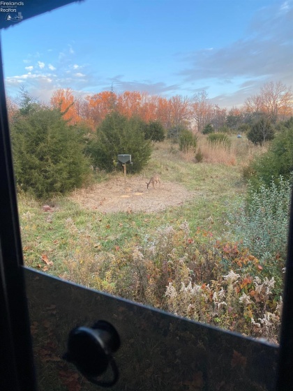 0 Tr 173, Bloomville, 44818, ,Land,For Sale,Tr 173,20252747