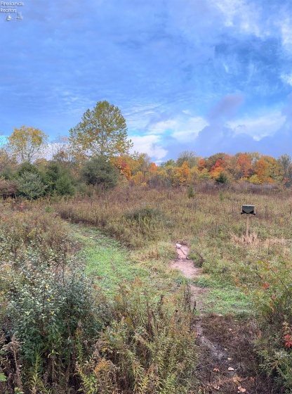 0 Tr 173, Bloomville, 44818, ,Land,For Sale,Tr 173,20252747