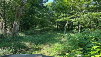 0 Tr 173, Bloomville, 44818, ,Land,For Sale,Tr 173,20252747