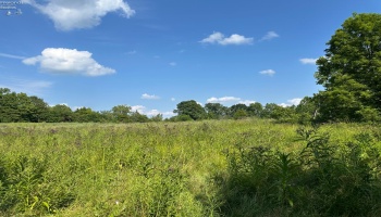 0 Tr 173, Bloomville, 44818, ,Land,For Sale,Tr 173,20252747