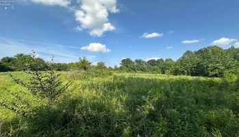 0 Tr 173, Bloomville, 44818, ,Land,For Sale,Tr 173,20252747