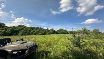 0 Tr 173, Bloomville, 44818, ,Land,For Sale,Tr 173,20252747