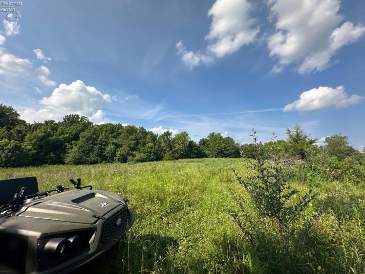 0 Tr 173, Bloomville, 44818, ,Land,For Sale,Tr 173,20252747