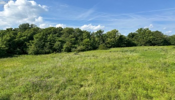 0 Tr 173, Bloomville, 44818, ,Land,For Sale,Tr 173,20252747