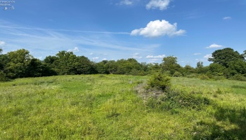 0 Tr 173, Bloomville, 44818, ,Land,For Sale,Tr 173,20252747