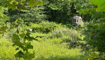 0 Tr 173, Bloomville, 44818, ,Land,For Sale,Tr 173,20252747