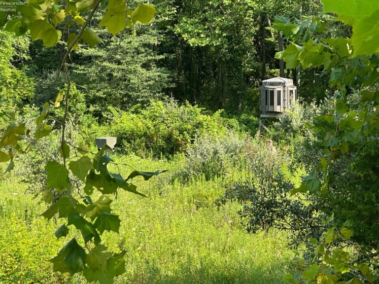 0 Tr 173, Bloomville, 44818, ,Land,For Sale,Tr 173,20252747