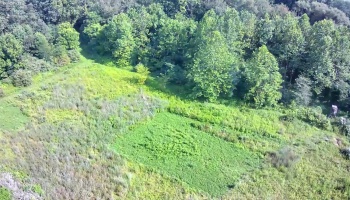 0 Tr 173, Bloomville, 44818, ,Land,For Sale,Tr 173,20252747