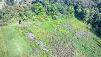0 Tr 173, Bloomville, 44818, ,Land,For Sale,Tr 173,20252747