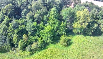 0 Tr 173, Bloomville, 44818, ,Land,For Sale,Tr 173,20252747