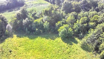 0 Tr 173, Bloomville, 44818, ,Land,For Sale,Tr 173,20252747