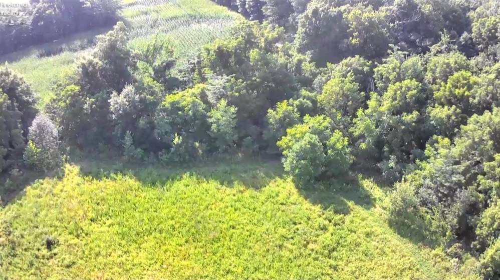 0 Tr 173, Bloomville, 44818, ,Land,For Sale,Tr 173,20252747