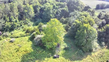 0 Tr 173, Bloomville, 44818, ,Land,For Sale,Tr 173,20252747