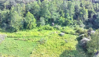 0 Tr 173, Bloomville, 44818, ,Land,For Sale,Tr 173,20252747