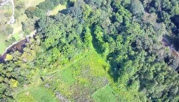 0 Tr 173, Bloomville, 44818, ,Land,For Sale,Tr 173,20252747