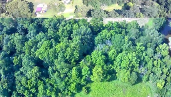 0 Tr 173, Bloomville, 44818, ,Land,For Sale,Tr 173,20252747