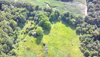 0 Tr 173, Bloomville, 44818, ,Land,For Sale,Tr 173,20252747