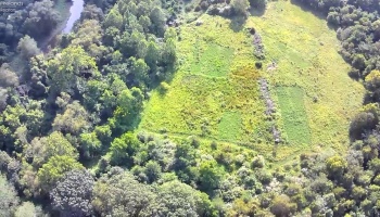 0 Tr 173, Bloomville, 44818, ,Land,For Sale,Tr 173,20252747