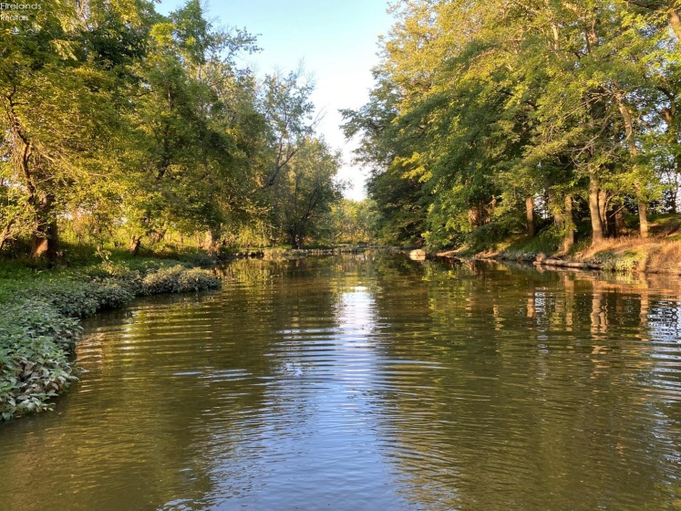 0 Tr 173, Bloomville, 44818, ,Land,For Sale,Tr 173,20252747