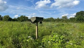 0 Tr 173, Bloomville, 44818, ,Land,For Sale,Tr 173,20252747