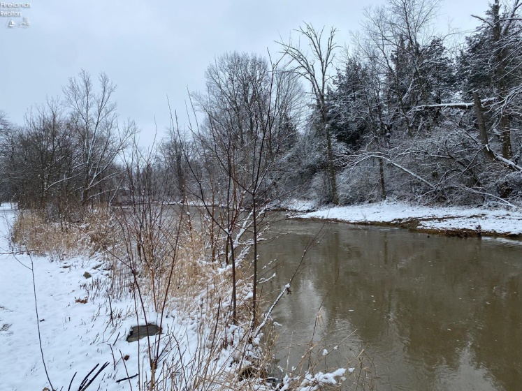 0 Tr 173, Bloomville, 44818, ,Land,For Sale,Tr 173,20252747