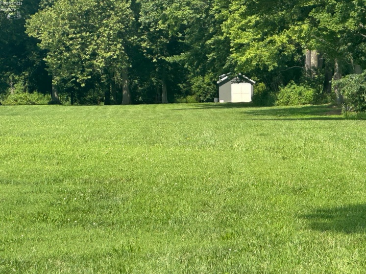 0 Tr 173, Bloomville, 44818, ,Land,For Sale,Tr 173,20252747
