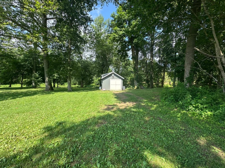 0 Tr 173, Bloomville, 44818, ,Land,For Sale,Tr 173,20252747