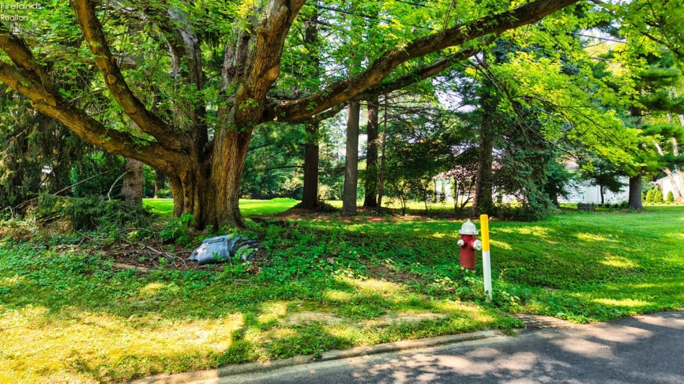 3901 Autumn, Huron, 44839, ,Land,For Sale,Autumn,20252710