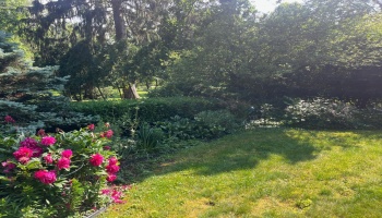 161 Main Street, Norwalk, 44857, 4 Bedrooms Bedrooms, ,2 BathroomsBathrooms,Residential,For Sale,Main,20252160