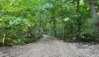 1 Jones, Put-In-Bay, 43456, ,Land,For Sale,Jones,20252968