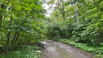 1 Jones, Put-In-Bay, 43456, ,Land,For Sale,Jones,20252968
