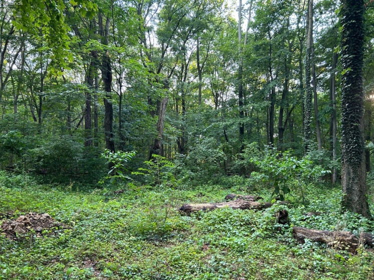 1 Jones, Put-In-Bay, 43456, ,Land,For Sale,Jones,20252968