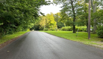 1 Elliot, Put-In-Bay, 43456, ,Land,For Sale,Elliot,20252994