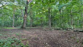 1 Elliot, Put-In-Bay, 43456, ,Land,For Sale,Elliot,20252994