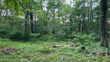 1 Elliot, Put-In-Bay, 43456, ,Land,For Sale,Elliot,20252994