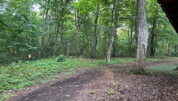 1 Elliot, Put-In-Bay, 43456, ,Land,For Sale,Elliot,20252994