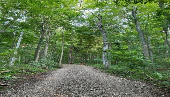 1 Elliot, Put-In-Bay, 43456, ,Land,For Sale,Elliot,20252994