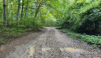 1 Elliot, Put-In-Bay, 43456, ,Land,For Sale,Elliot,20252994