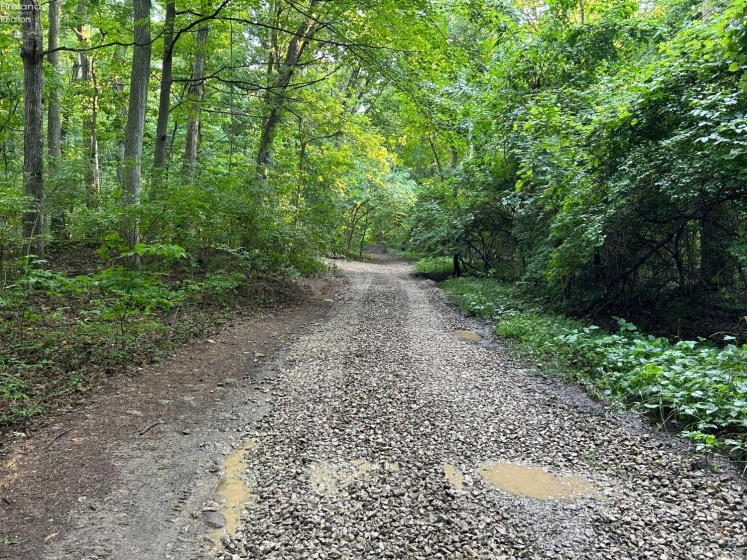 1 Elliot, Put-In-Bay, 43456, ,Land,For Sale,Elliot,20252994