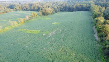 0 Garver/ Washington south rd, Mansfield, 44907, ,Land,For Sale,Garver/ Washington south rd,20253030