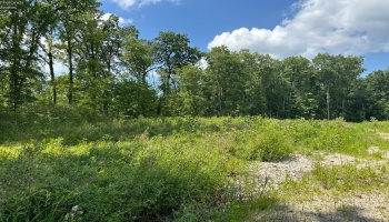 10701 Strecker Road, Bellevue, 44811, ,Land,For Sale,Strecker,20253314