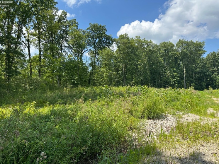 10701 Strecker Road, Bellevue, 44811, ,Land,For Sale,Strecker,20253314