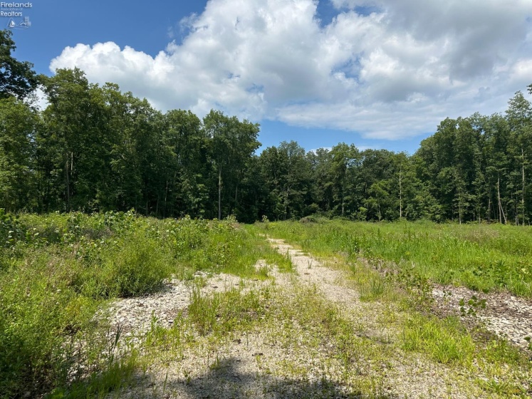 10701 Strecker Road, Bellevue, 44811, ,Land,For Sale,Strecker,20253314