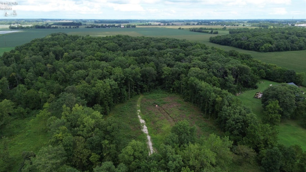 10701 Strecker Road, Bellevue, 44811, ,Land,For Sale,Strecker,20253314