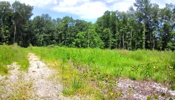 10701 Strecker Road, Bellevue, 44811, ,Land,For Sale,Strecker,20253314
