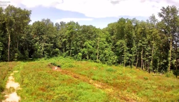 10701 Strecker Road, Bellevue, 44811, ,Land,For Sale,Strecker,20253314