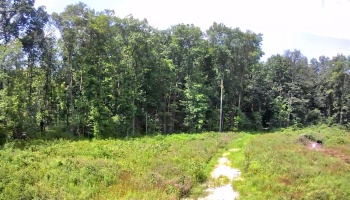 10701 Strecker Road, Bellevue, 44811, ,Land,For Sale,Strecker,20253314